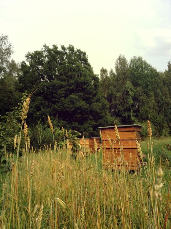 Glempings Klaukas Hotell Sigulda Exteriör bild
